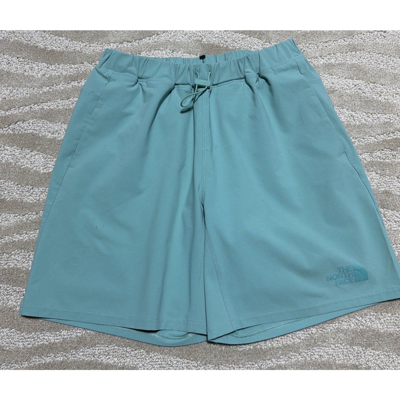 THE NORTH FACE Wasabi Aqua Green Exploration Arque Shorts Mens Small