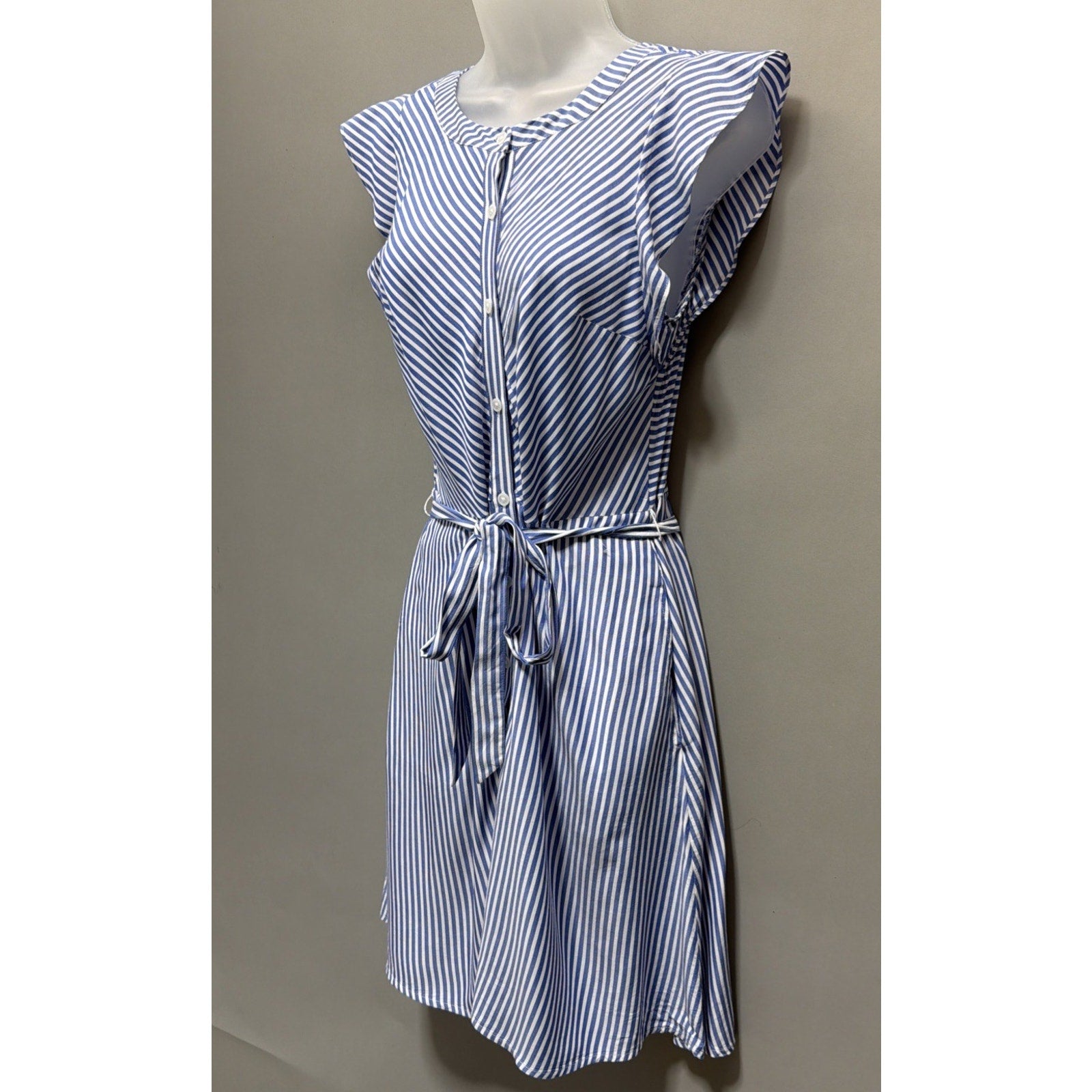 Ann Taylor LOFT Flutter Sleeve Button Front Dress Blue White Stripes Size 4 Pet