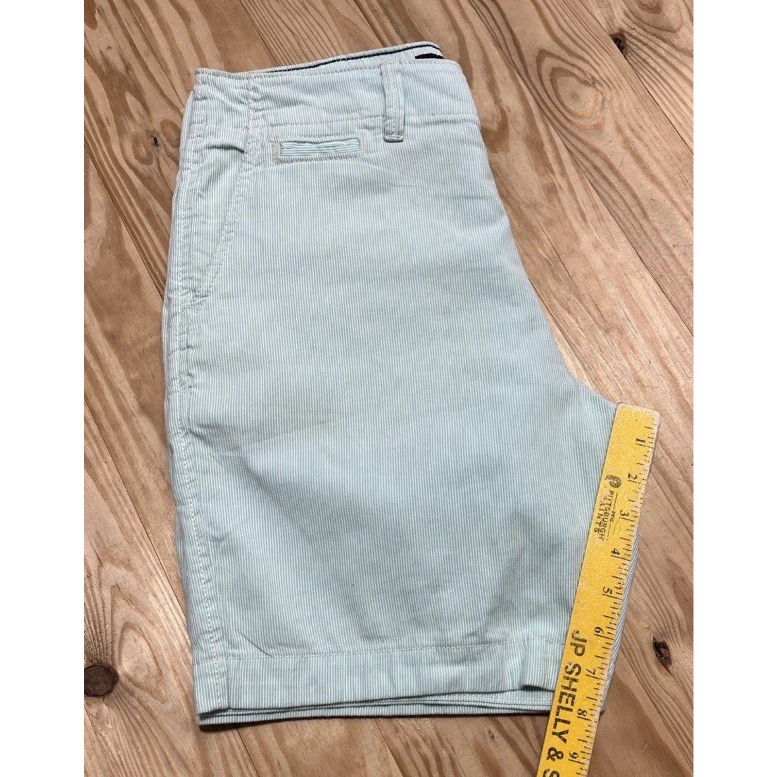 American Eagle Prep Mens Shorts Size 30 Green White Shorts