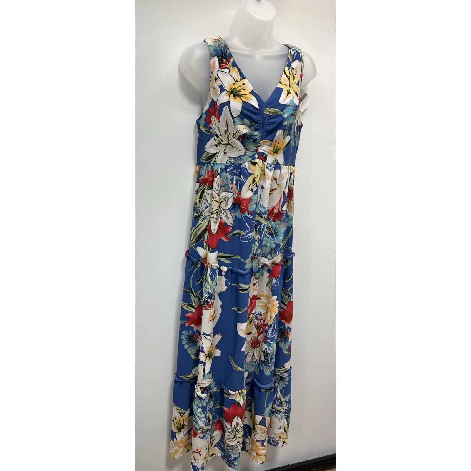 DANNY AND NICOLE LINED FLORAL PRINT Maxi DRESS SZ 12 NWT