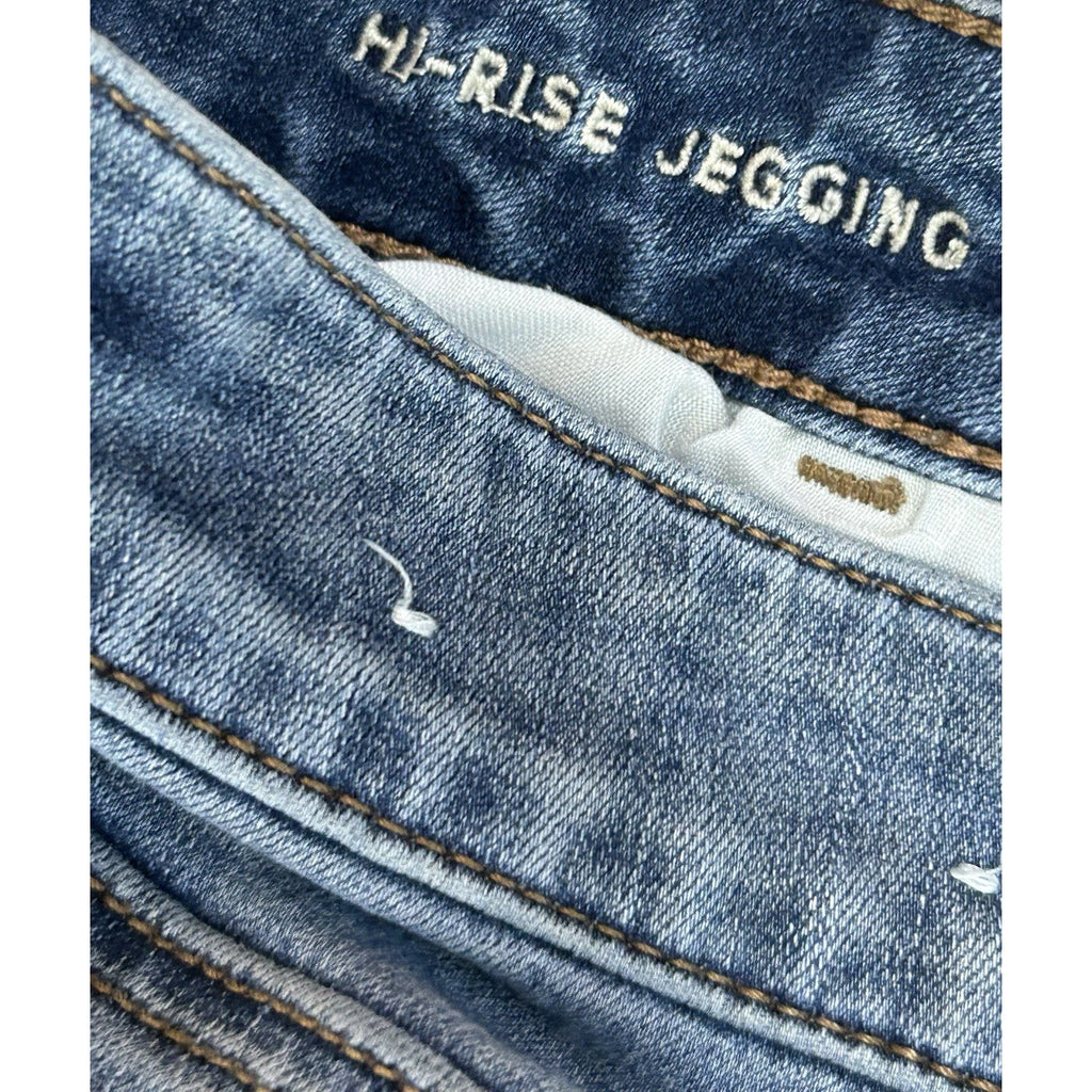 American Eagle Outfitters Women's High Rise Jegging Jeans, Size 14