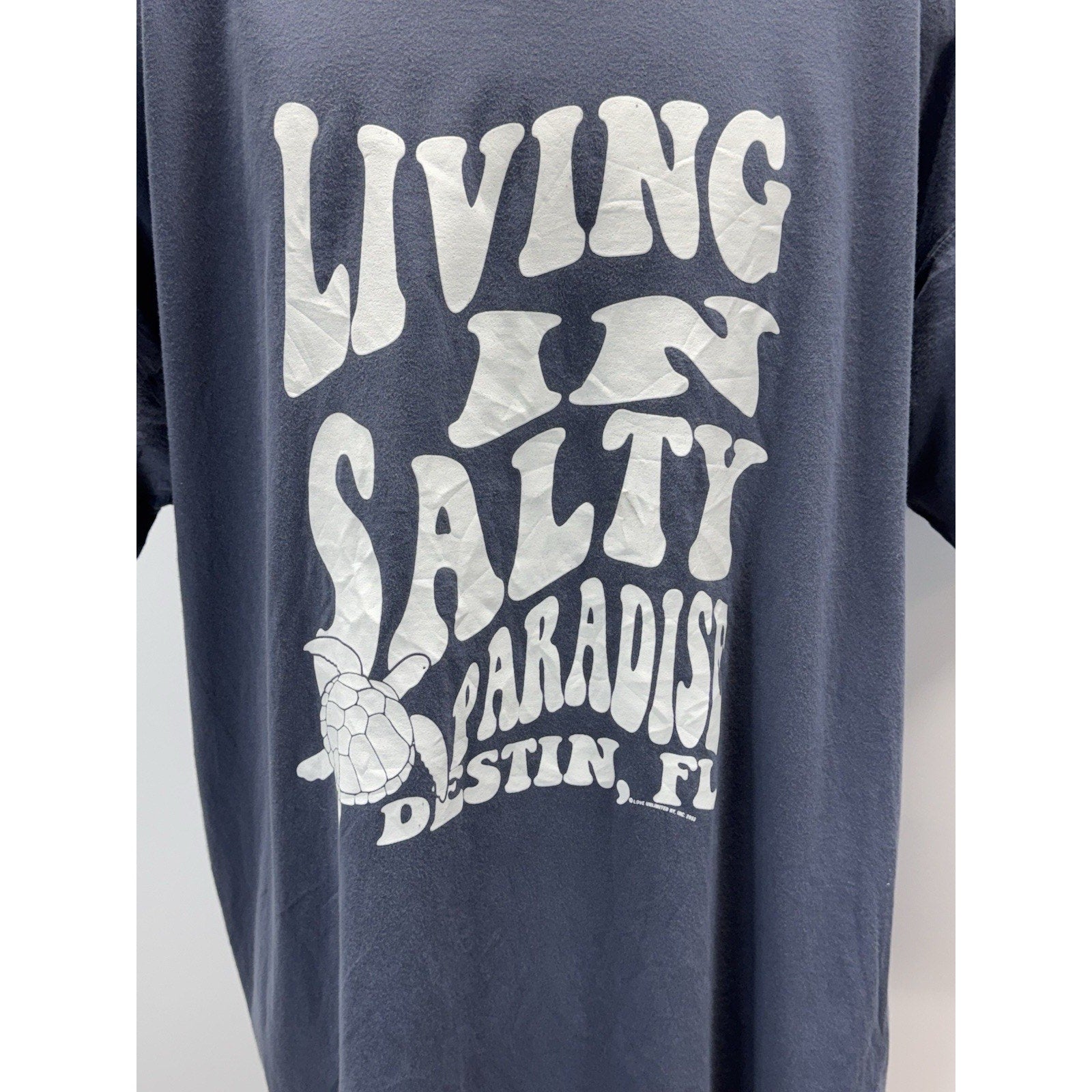 Living In Salty Paradise Destin, FL Beach Zone T-Shirt Size 2XL Blue NWT