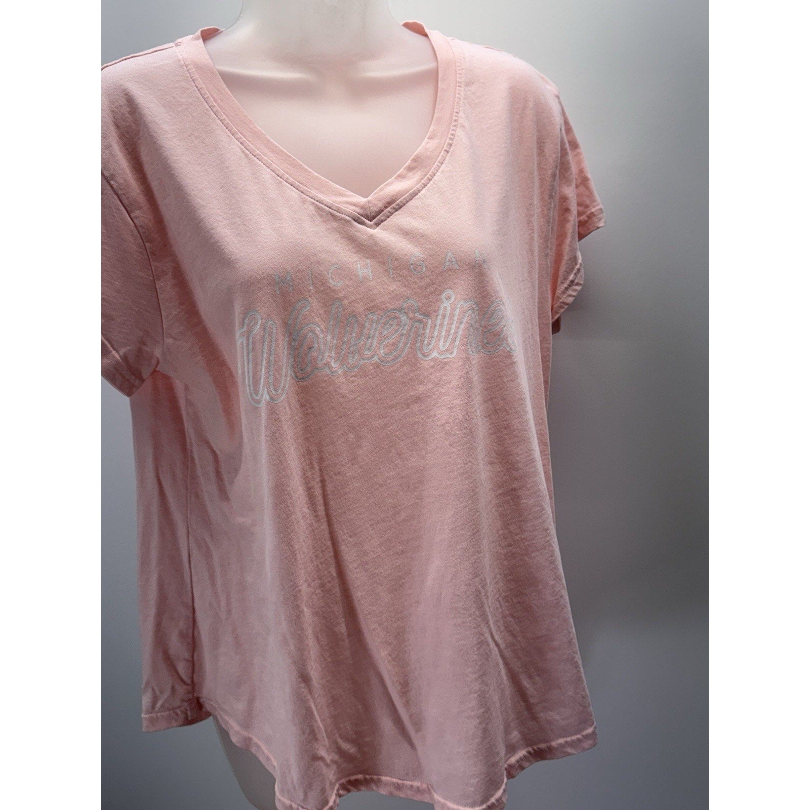 Michigan Wolverines Basic Hanes T-Shirt Womens Pink Large Cotton Blend