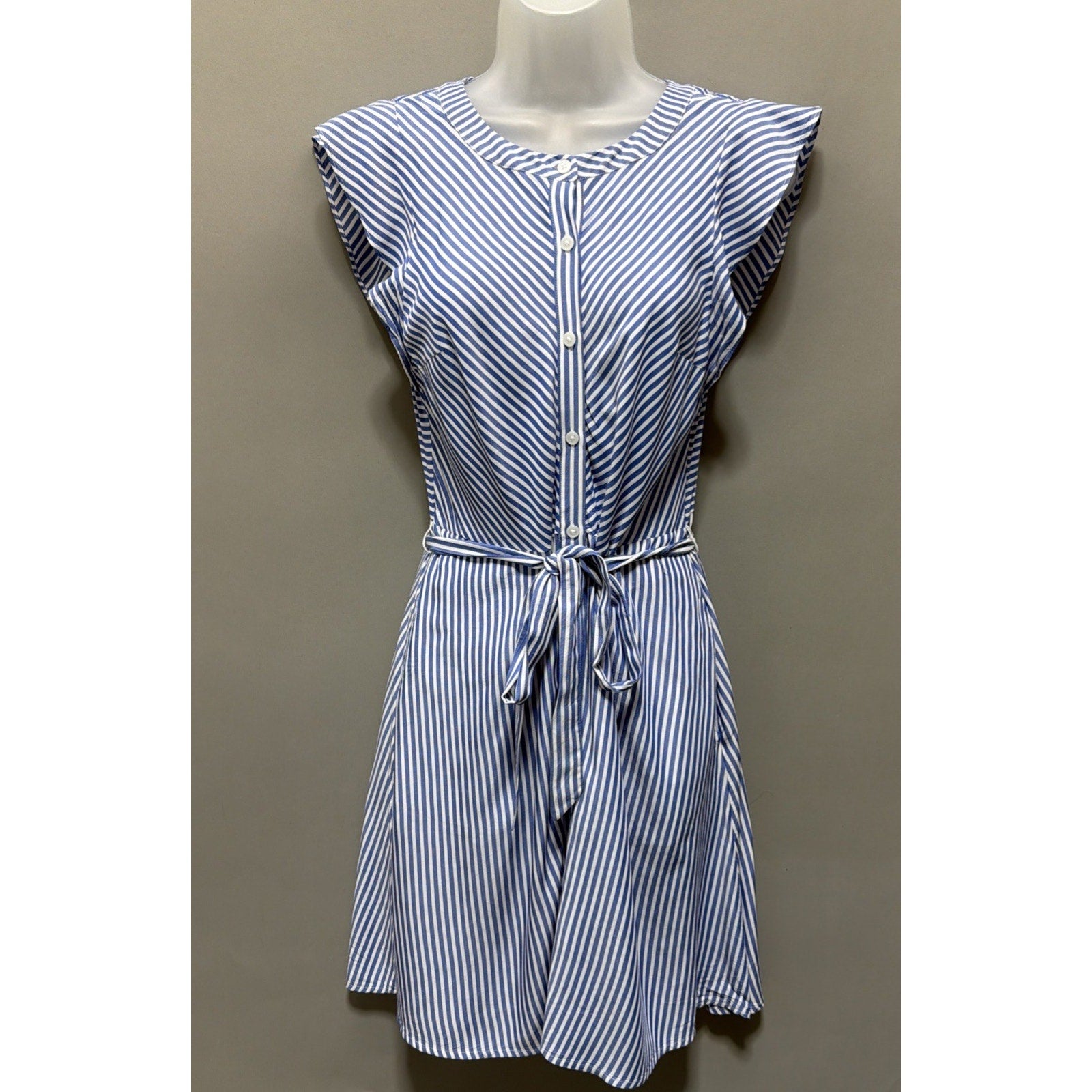 Ann Taylor LOFT Flutter Sleeve Button Front Dress Blue White Stripes Size 4 Pet