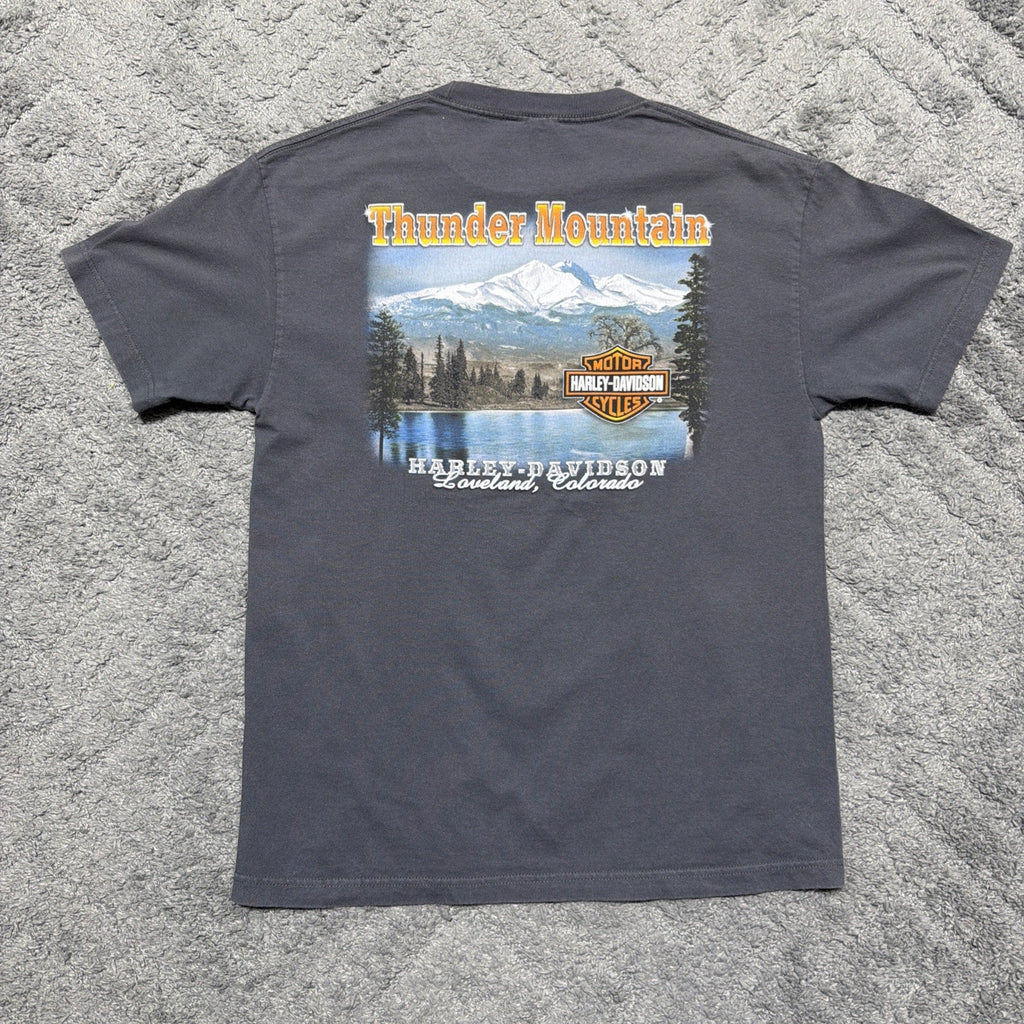 Harley-Davidson T Shirt KING OF THE ROAD XL Loveland Colorado Y2K