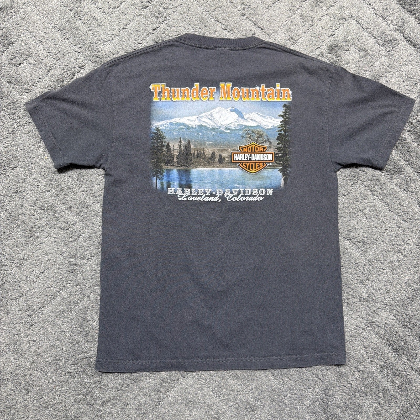 Harley-Davidson T Shirt KING OF THE ROAD XL Loveland Colorado Y2K