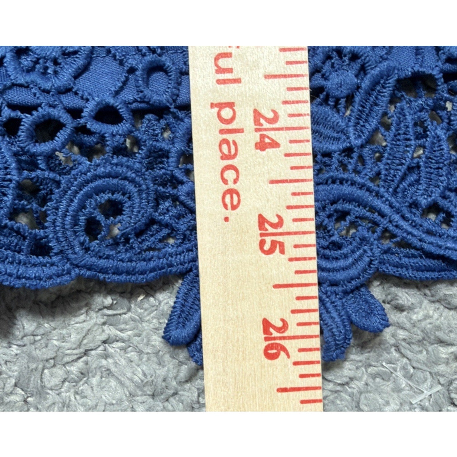 NWT Philosophy XL Blue Lace Short Sleeve Blouse Lined Pearl Button Closure