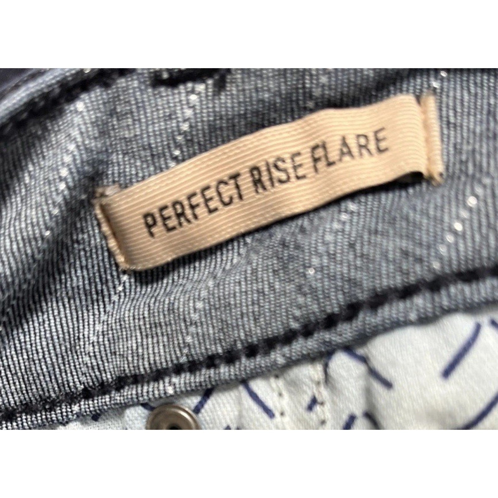 ARIAT Women's Perfect Rise Jasmine Flare Jeans Silver Stripe Rinse 34R