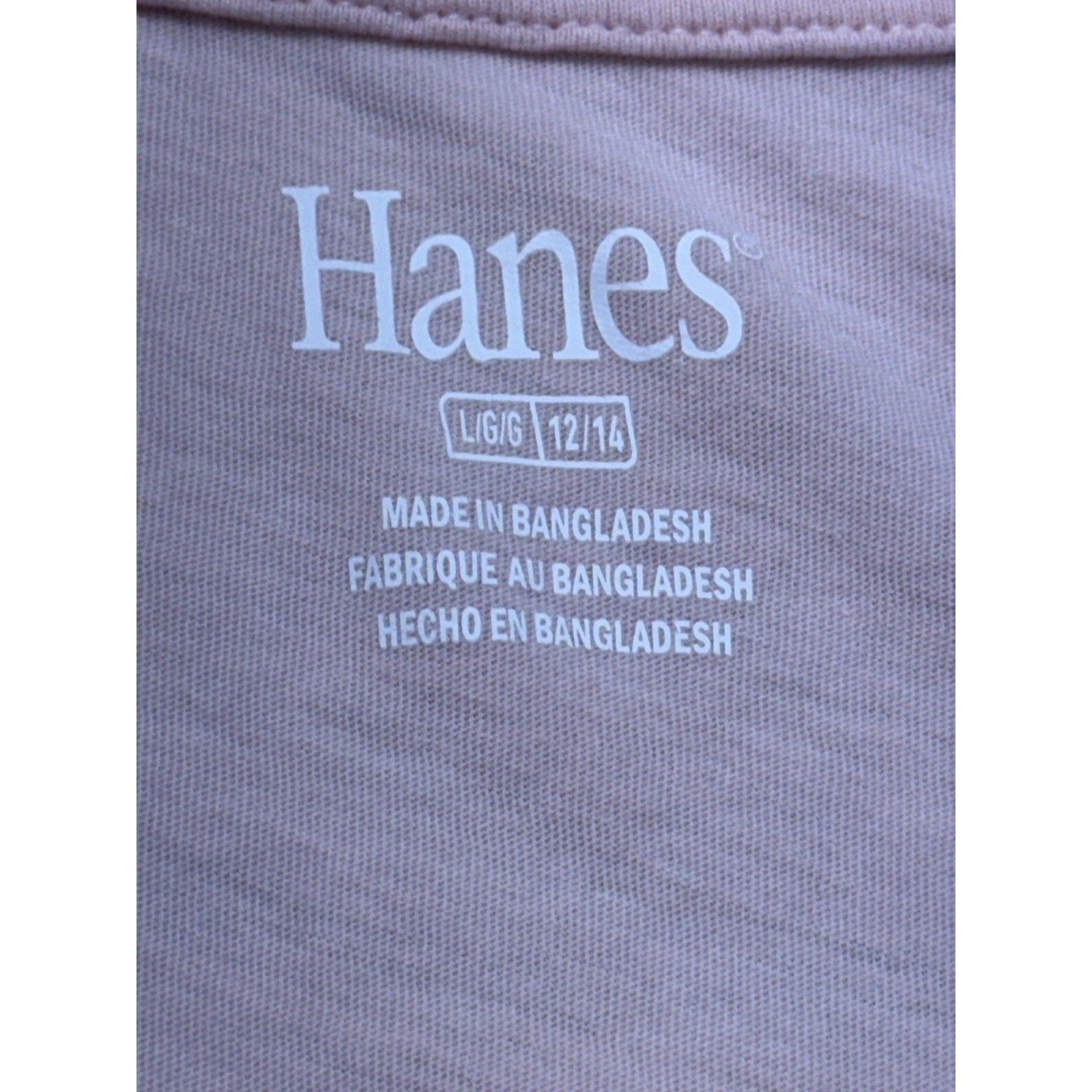 Michigan Wolverines Basic Hanes T-Shirt Womens Pink Large Cotton Blend