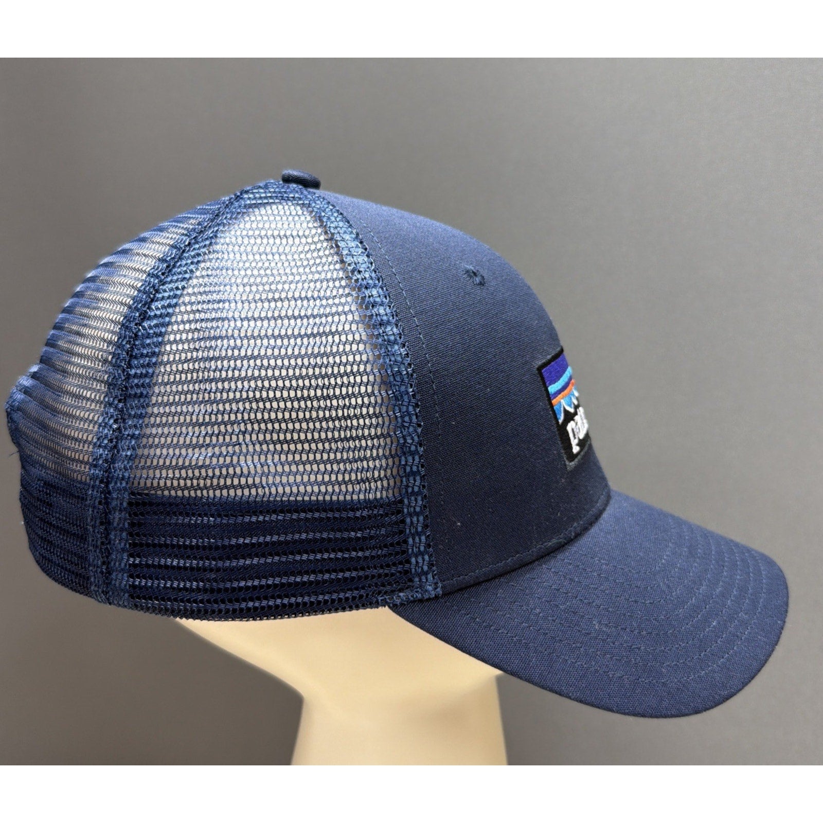 Patagonia P-6 Logo LoPro Trucker Hat Navy Blue
