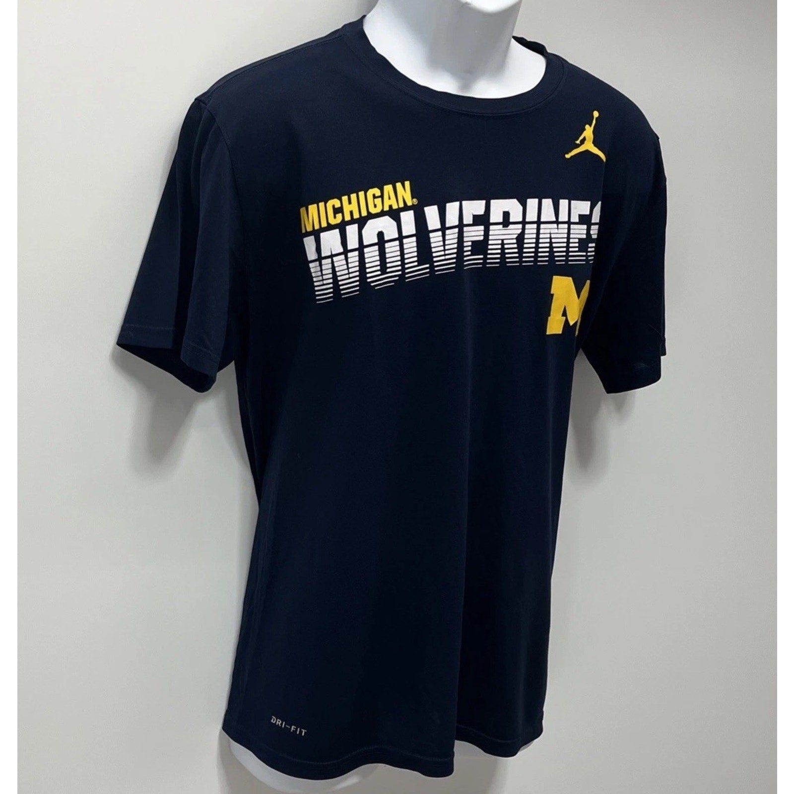 Michigan Wolverines Nike Dri Fit Tee Jordan T Shirt Mens Large Blue Short Sleeve