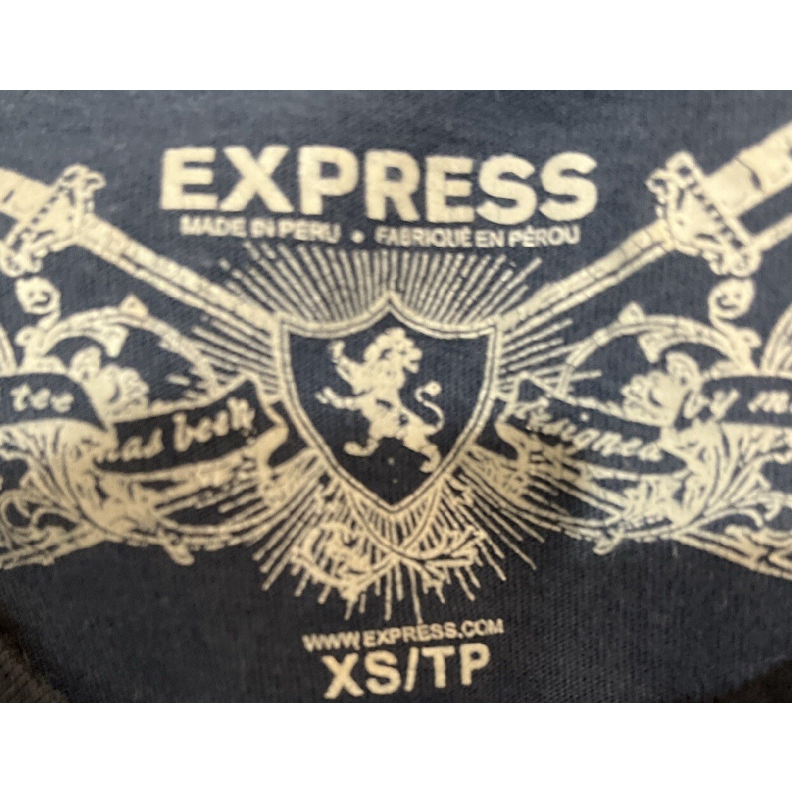 Express Graphic Print T-Shirt Blue Size XS Men Slim Fit