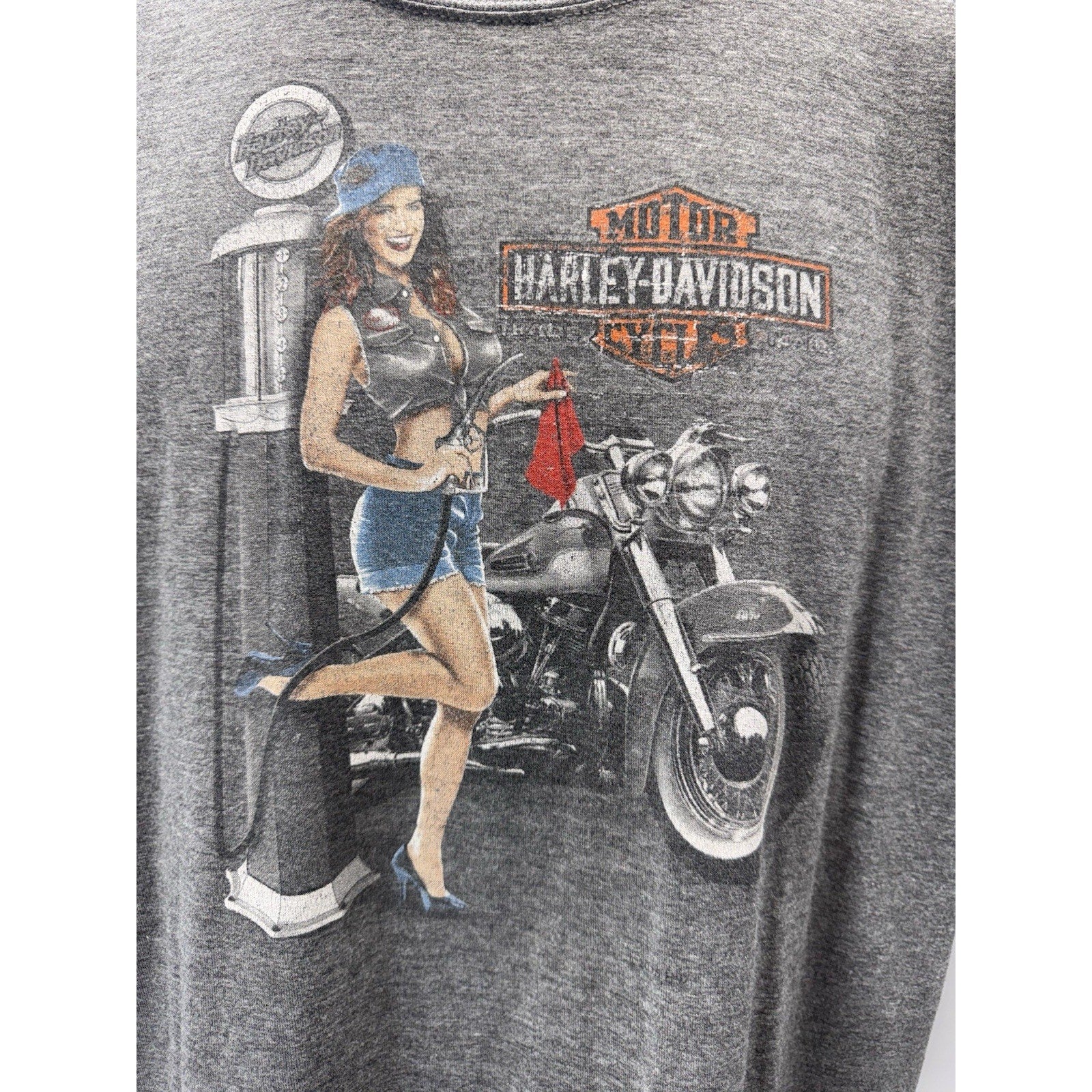 Bumpus Harley Davidson Jackson, TN Vtg T-Shirt Men’s Size Large Gray