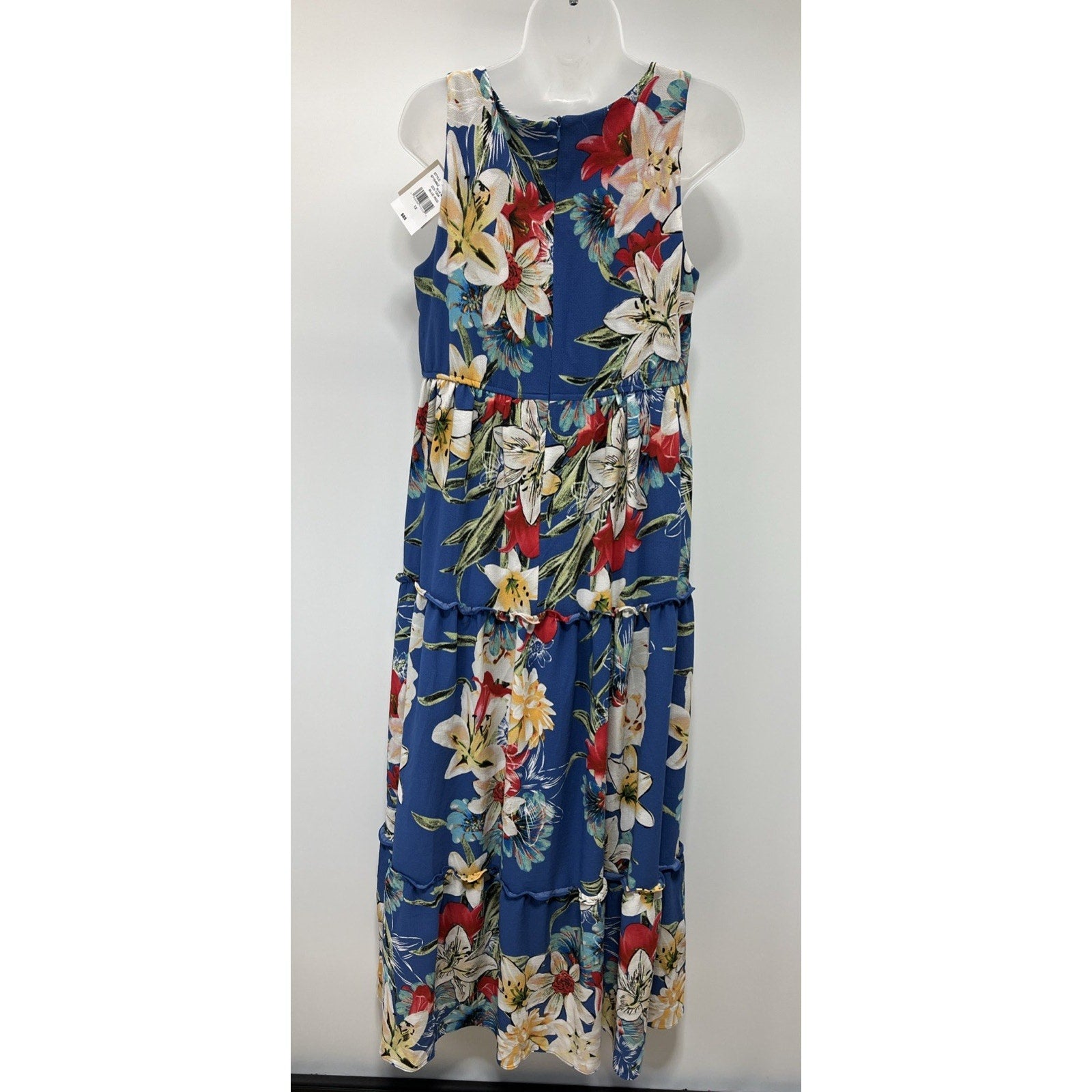 DANNY AND NICOLE LINED FLORAL PRINT Maxi DRESS SZ 12 NWT