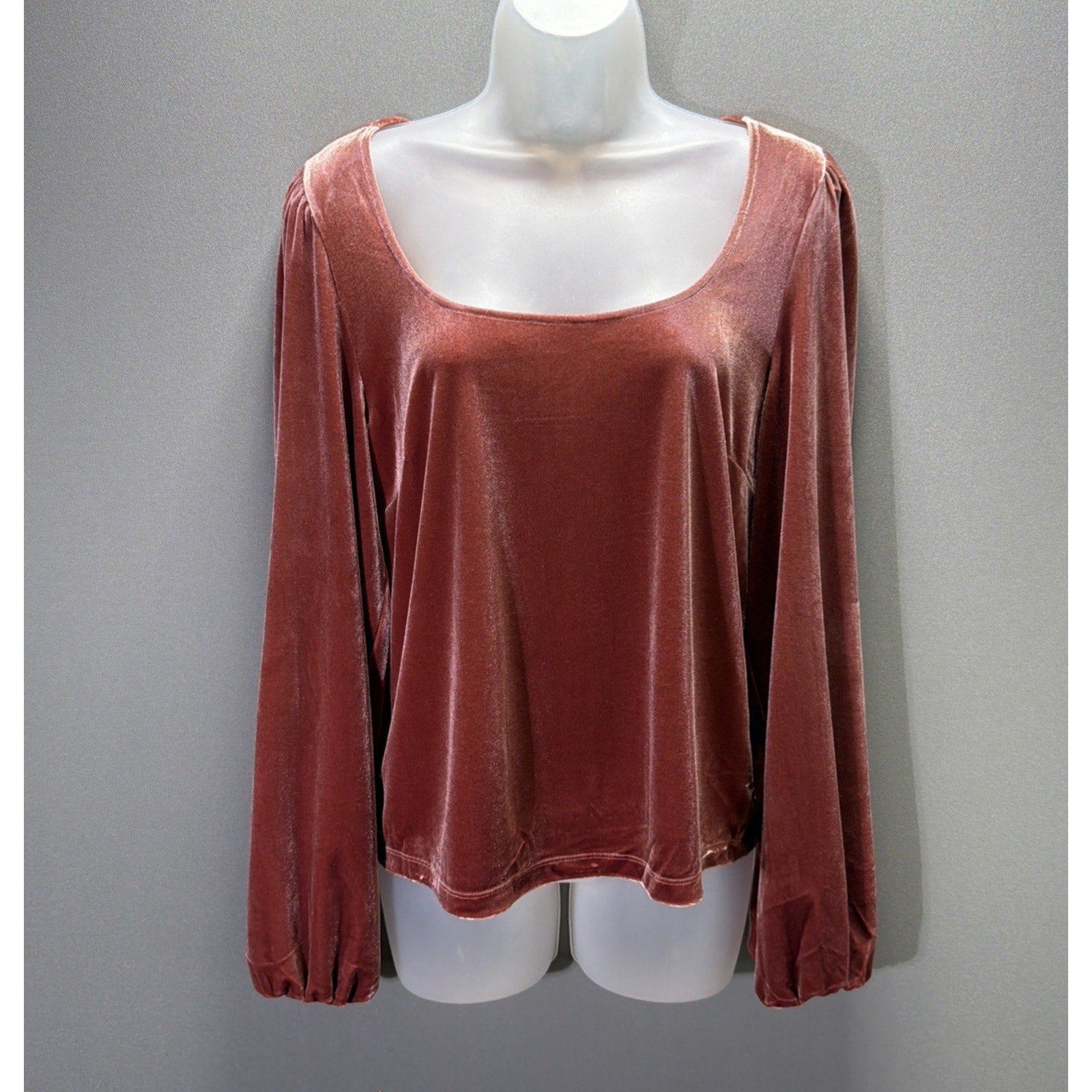 Gentle Fawn Ariana Velvet Scoop Neck Puff Sleeve Top Sz L NWT Velvet Rose Stretc