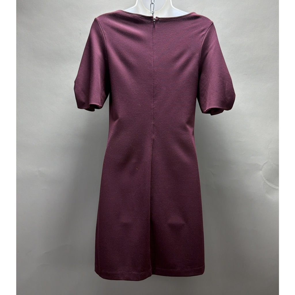 Express XS Woman's Eggplant Purple Lined Short Sleeve Career Work Dress