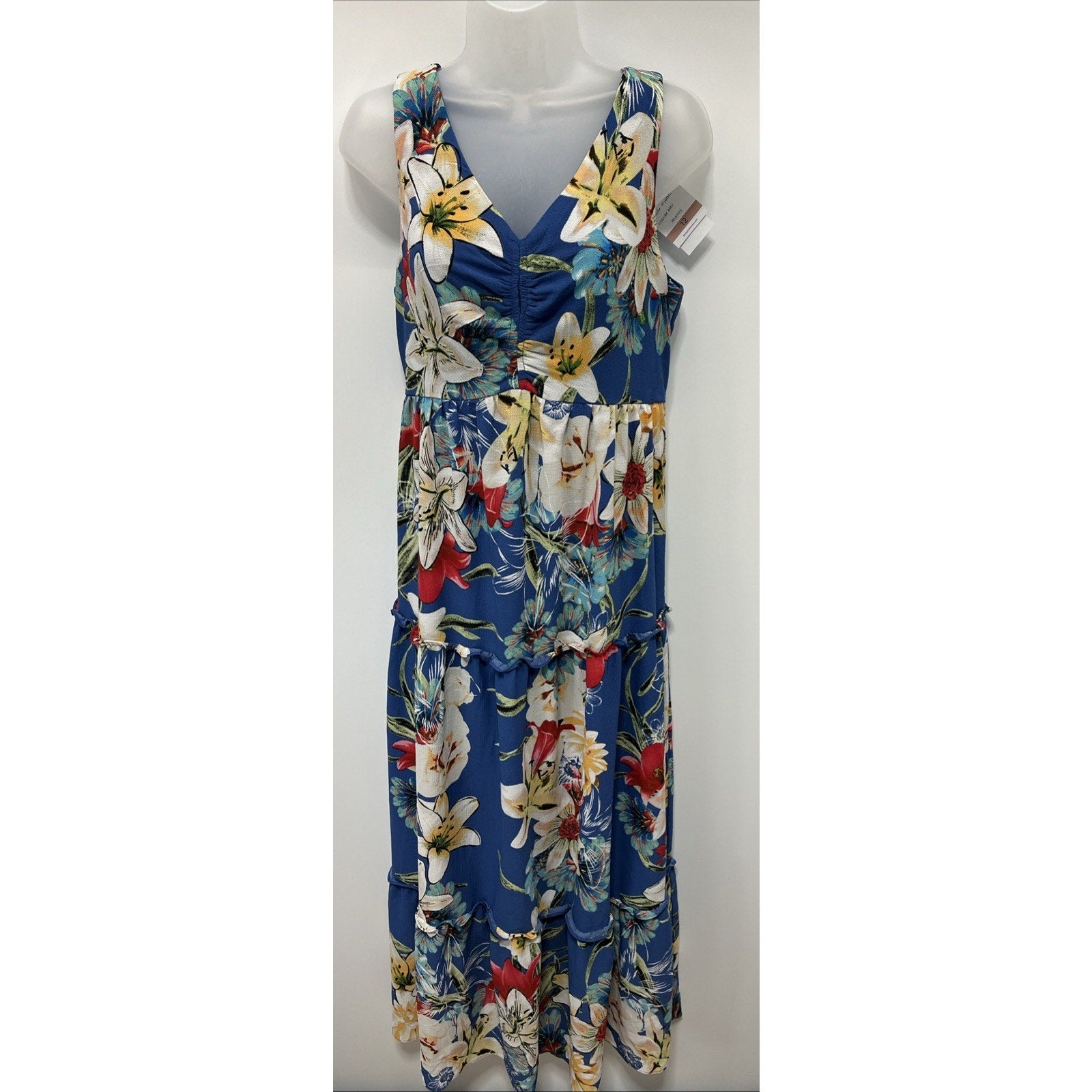 DANNY AND NICOLE LINED FLORAL PRINT Maxi DRESS SZ 12 NWT
