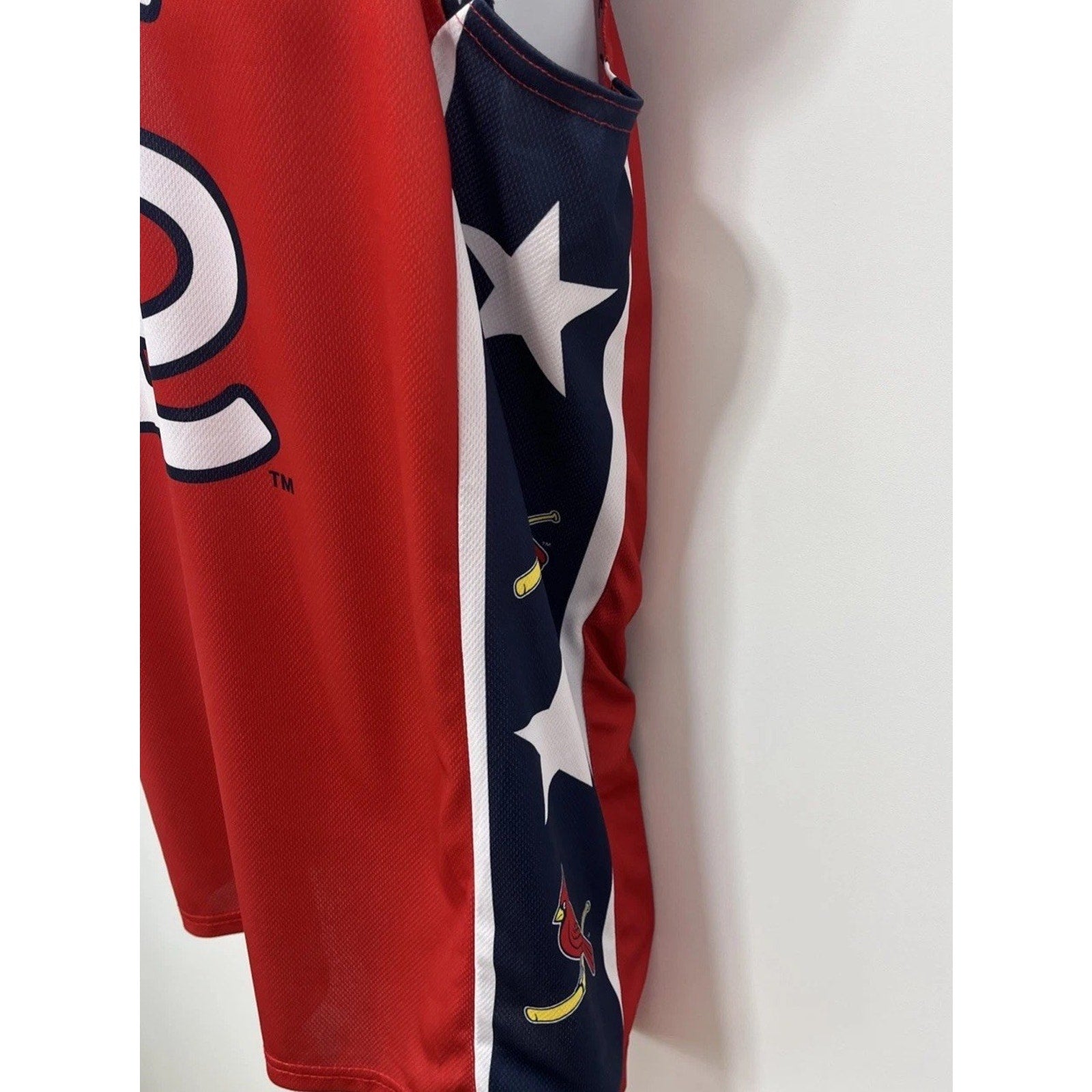 St. Louis Cardinals Adult Basketball Jersey Shirt Air National Guard Size XL
