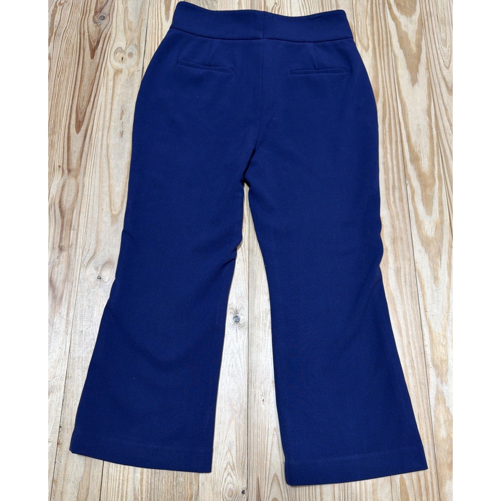 Halogen Pants Atlantic + Pacific Stretch High Rise Cropped Pants Purple SZ 12