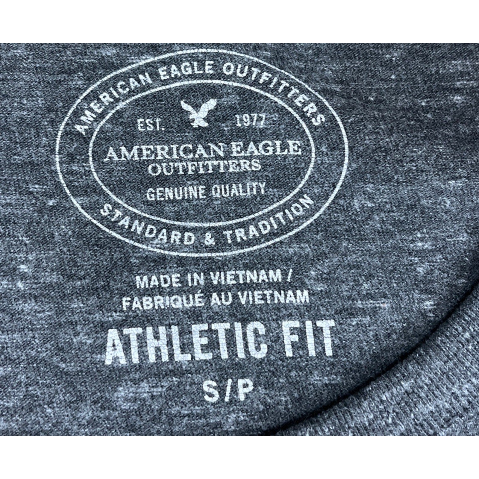 American Eagle 1977 Outfitters Mens Graphic Gray T Shirt Size S Athletic Fit