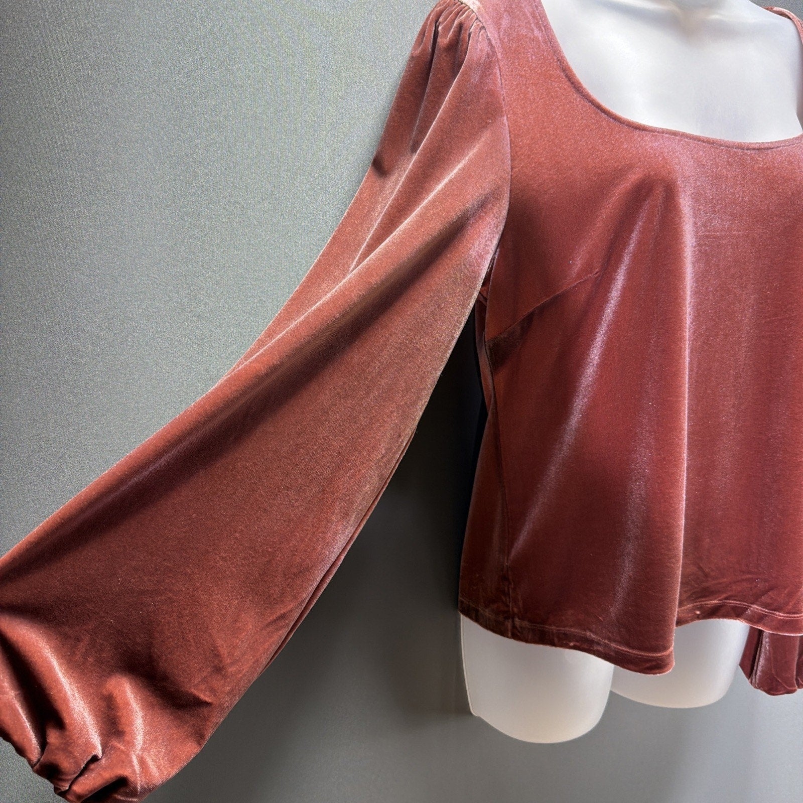 Gentle Fawn Ariana Velvet Scoop Neck Puff Sleeve Top Sz L NWT Velvet Rose Stretc