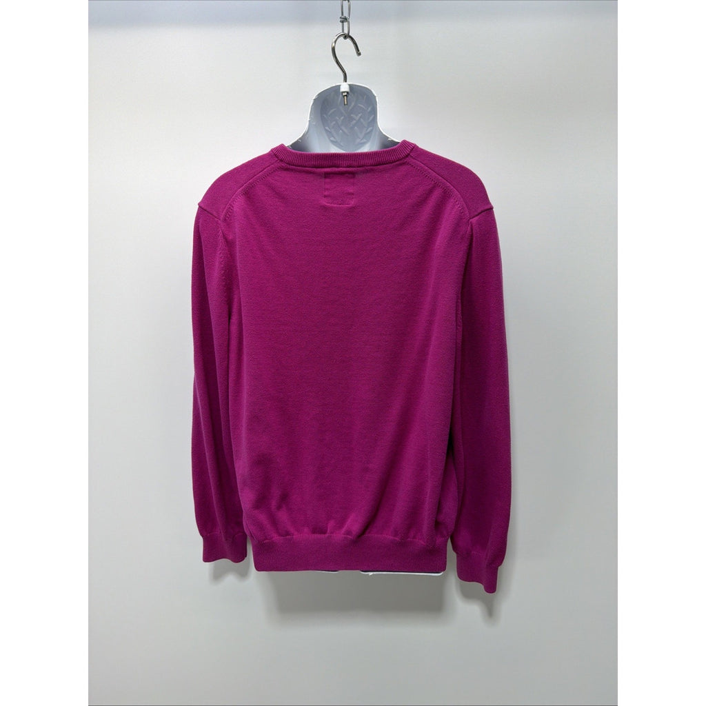 Express Mens Purple V-neck Cotton Sweater with Lion Logo size XL