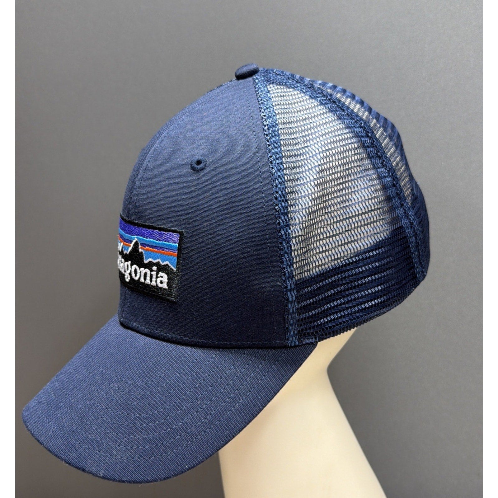 Patagonia P-6 Logo LoPro Trucker Hat Navy Blue