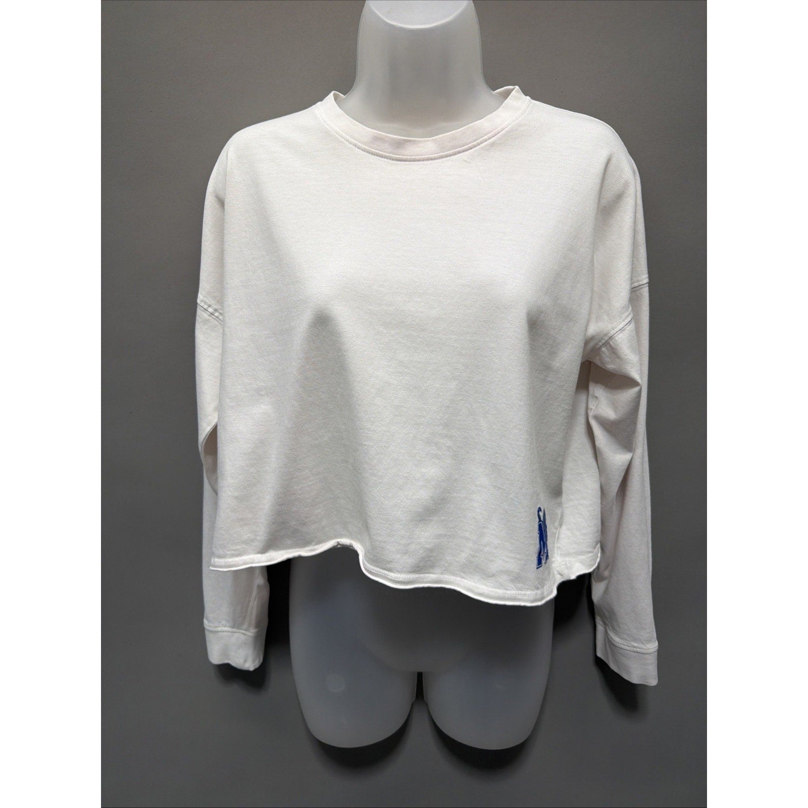 Rivalry Threads 91 Memphis Tigers Cropped Oversized Pullover Top Women Small