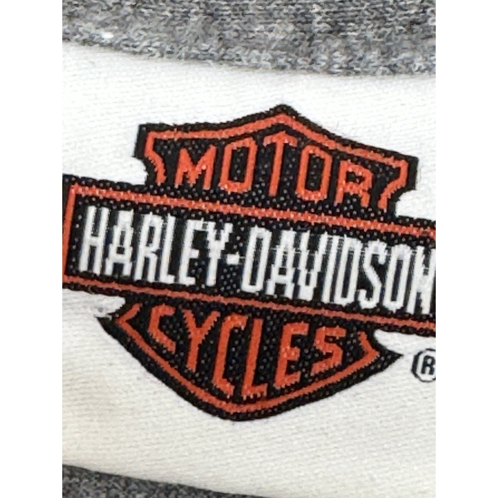 Bumpus Harley Davidson Jackson, TN Vtg T-Shirt Men’s Size Large Gray
